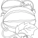 coloriage Pastèque a imprimer gratuitement
