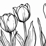 coloriage Tulip pour enfant de 6 ans