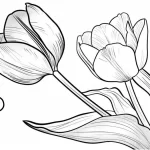 coloriage Tulip et decoupage