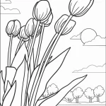 coloriage Tulip a imprimer