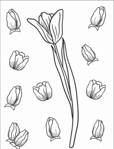 télécharger coloriage Tulip gratuit
