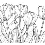 coloriage Tulip gratuit