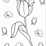 coloriage Tulip à imprimer gratuitement pdf