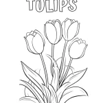 a imprimer coloriage Tulip gratuit