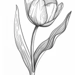 télécharger coloriage Tulip gratuit