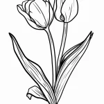 coloriage Tulip à imprimer pour enfant de 3 ans