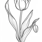 coloriage Tulip et decoupage a imprimer gratuit
