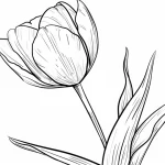 coloriage Tulip pour enfant de 3 ans