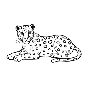 coloriage Une panthère couchée educatif pour enfant