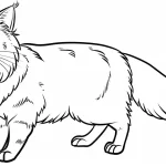 coloriage Chat et dessins