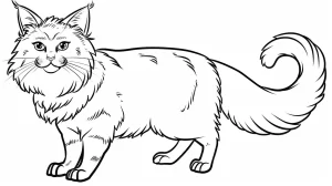 coloriage Chat et dessins