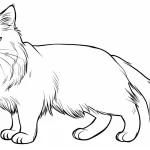 coloriage Chat pour enfant