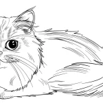 coloriage Chat educatif pour enfant