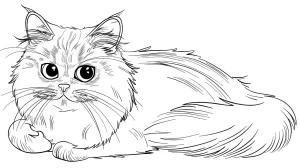 coloriage Chat educatif pour enfant