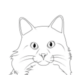coloriage Chat d