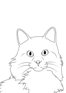 coloriage Chat d