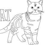 coloriage Chat à imprimer kawaii