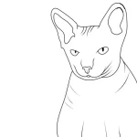 coloriage Chat pour enfant gratuit