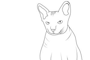 coloriage Chat pour enfant gratuit
