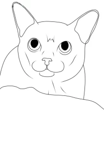imprimer coloriage Chat pour enfant