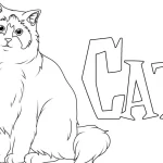 coloriage Chat a imprimer gratuit