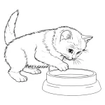 coloriage Chat à imprimer pour enfant de 12 ans