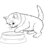 coloriage Chat a telecharger