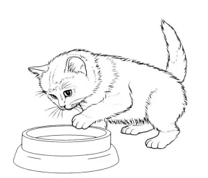 coloriage Chat a telecharger