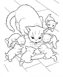 coloriage Chat en ligne pour enfant