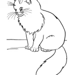 imprimer coloriage Chat pour enfant
