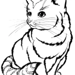 coloriage Chat à imprimer pour enfant de 9 ans