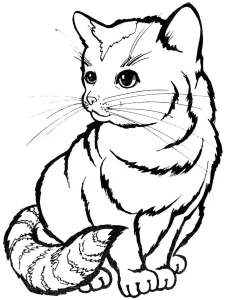 coloriage Chat à imprimer pour enfant de 9 ans
