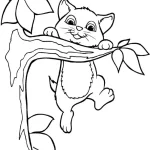 coloriage Chat à imprimer pdf