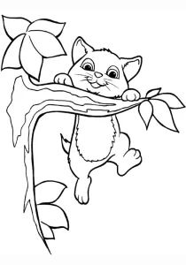coloriage Chat à imprimer pdf