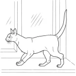 coloriage Chat à imprimer pour enfant de 10 ans