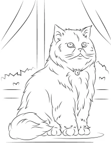 coloriage Chat pour bebe a imprimer