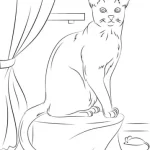 coloriage Chat à imprimer pour enfant de 9 ans