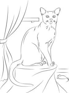 coloriage Chat à imprimer pour enfant de 9 ans