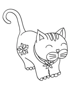 coloriage Chat et dessin a imprimer