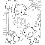 coloriage Chat gratuit a imprimer