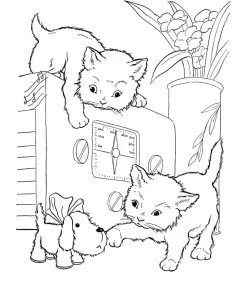 coloriage Chat gratuit a imprimer