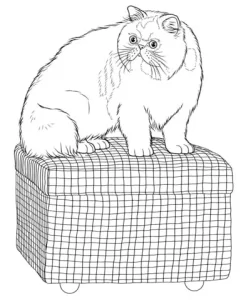 coloriage Chat à imprimer pour enfant de 8 ans