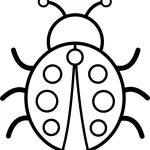 coloriage Coccinelle à imprimer pour enfant de 8 ans