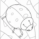 coloriage Coccinelle d