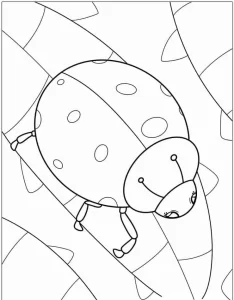 coloriage Coccinelle d