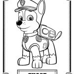 coloriage Pat Patrouille a colorier en ligne gratuitement