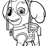 coloriage Pat Patrouille de pour enfants