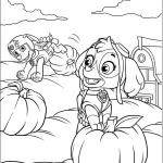 coloriage Pat Patrouille a colorier en ligne gratuitement