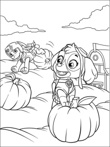 coloriage Pat Patrouille a colorier en ligne gratuitement