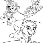 coloriage Pat Patrouille a colorier en ligne